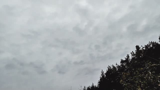 Ускоренное движение облаков ПОСЛЕДНЕЕ В СЕЗОНЕ 2025ГОДА 21 сентября 2025г смотреть онлайн