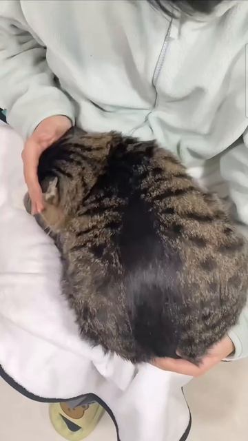 сори что не было видео оооочень долго, скоро на канале будет этому объяснение.......и скоро подарок смотреть онлайн