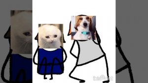 я даже не знаю как так получается😅