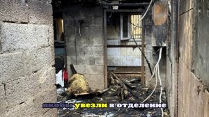 Shot: В момент пожара в приюте для собак в Москве находился охранник с друзьями