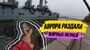 #strettfishing | Как ловить на стики? Смотри и узнаешь! | Нашёл и напорол жирных окуней |