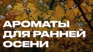Ароматы для ранней осени | Тёплые люксовые парфюмы, которые стоит носить в сентябре и октябре