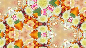 Видеофоны! Видеофон Осенняя цветочная фантазия 4 от Киностудии Мудрого Кота Тимофея!