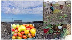 Их видимо-невидимо...как с вами поделиться хочется🤗🫶