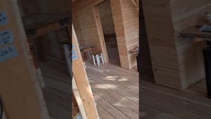 1000035629.mp4 (Собака наблюдает за устройством плоскости каркаса, обрезкой пола в доме А-фрейм)