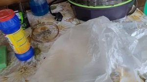 Как сохранить урожай свеклы и моркови до нового урожая