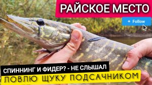 СПИННИНГ И ФИДЕР? - НЕ СЛЫШАЛ! ЛОВЛЮ ЩУКУ НА ПОДСАЧНИК! ГОЛАВЛЬ, ПЛОТВА, ЩУКА! РАЙСКОЕ МЕСТО!