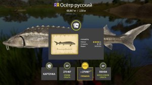 РАЗДАЧА ОСЕТРА НА АХТУБЕ, ФАРМ НА ЯНТАРНОМ ОЗЕРЕ, СВОДКА ПО ВОДОЕМАМ НА 27.09 В РУССКОЙ РЫБАЛКЕ 4