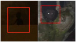 Топ 5 Страшные видео снятых на камеру | Призраки рядом