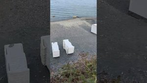 Большой Утриш 28 сентября 2025 года. Показывает и рассказывает Иван-историк.