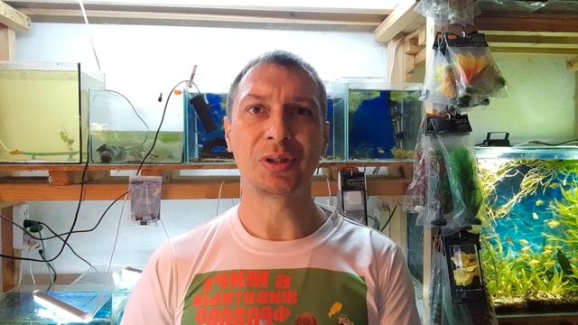 Можно ли отключать фильтр в аквариуме? смотреть онлайн