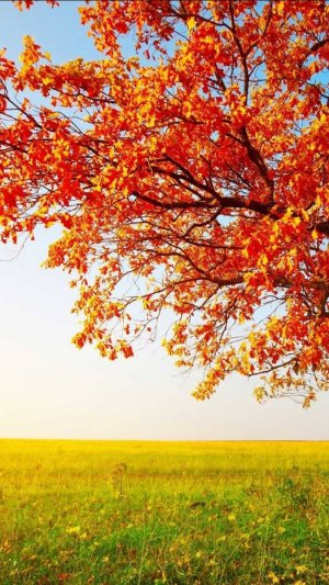 Октябрь и важные события месяца для каждого