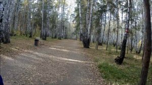 27 сентября, последний теплый день. Осень. желтые листья...