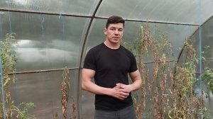 Как подготовить теплицу к зиме?