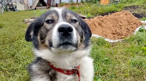 Маршрут Волжская Тропа