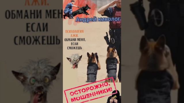 Камеральные и прочии специалисты 404 смотреть онлайн