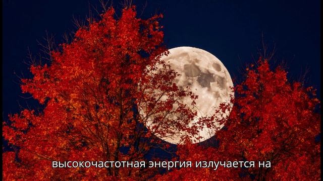 Октябрь 2025: Суперлуние в Овне | Врата Арктура | Новолуние в Весах | Сезон Скорпиона | Хэллоуин