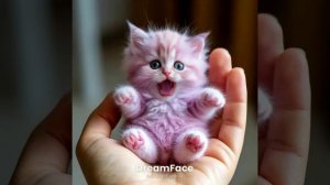 Котик розовый няшка