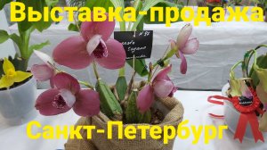 Выставка орхидей Fan orchid. Осень 25.Санкт-Петербург.