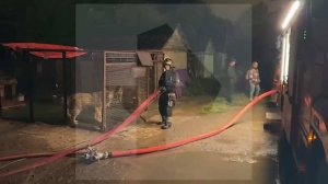 13 собак погибли при пожаре в питомнике в Москве