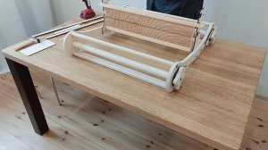 petal_20250928_173858.mp4