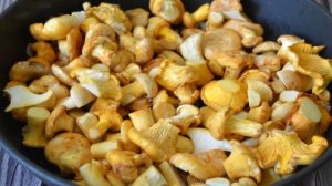 Лисички с картошкой жареные в сметане