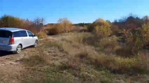 Выезд на природу