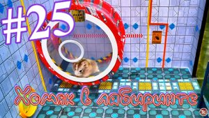 Хомяк в лабиринте (25 серия)