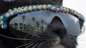 Кручусь под Override