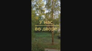 Петрозаводск. Двор осенью.