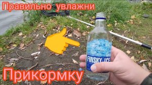 РЫБАЛКА ФИДЕР ОСЕНЬЮ НА РЕКЕ