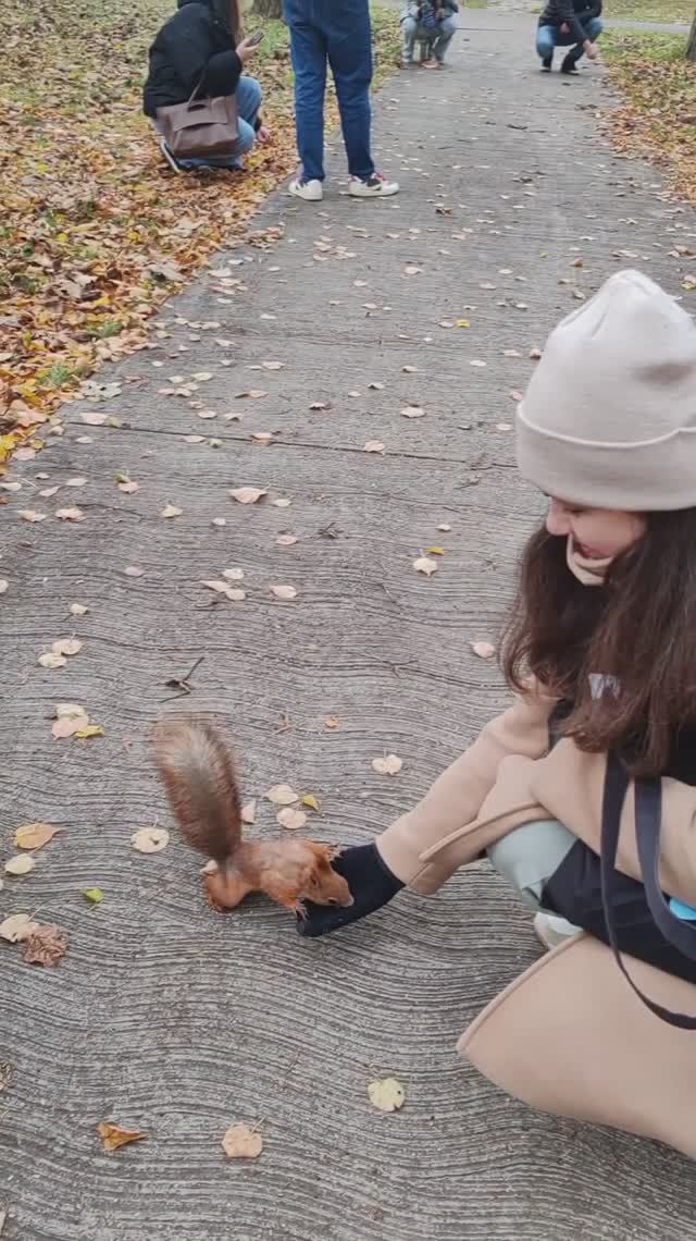 Как много белок в Парке Горького🤩