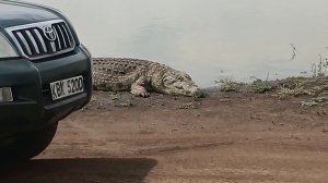 1000000845.mp4