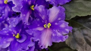 Видео без названия — сделано в Clipchamp (189)