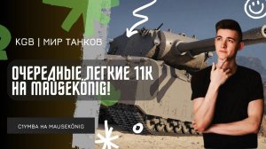 C1yMba ● ОЧЕРЕДНЫЕ ЛЕГКИЕ 11К НА Mausekönig!
