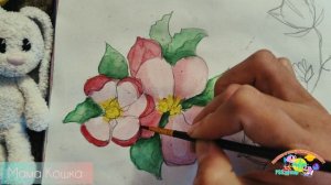 как нарисовать цветы яблони.
