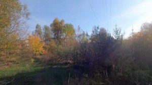 Велопокатушки по Рубцовску №95.😊