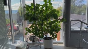 copy_3838AD2D-4F0B-4582-9071-82377A9835F4