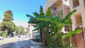 Сочи, Адлер, ул. 8 марта