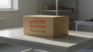 Отзыв о прошивке Ашан + и прошивки АКПП Getrag 7DCT300