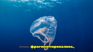Биоразлагаемые пакеты ускоряют процесс загрязнения планеты
