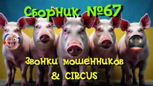 Сборник №67 & CIRCUS