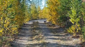 Не дают проехать