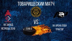 Детский хоккей. Товарищеская игра. Hockey Chance. Ястребы 2016 и Арена Плей Трактор.