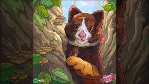 Добрые дела 126-157