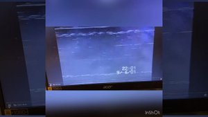 Дачные друзья