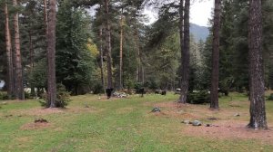 Xiaomi 15T: работа гибридной стабилизации видео 1080@30к/с