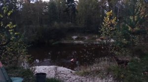 Мобиба. Выезд 27.09.25