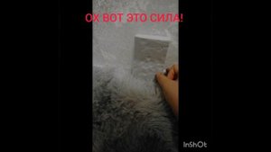 Моя сила которую я успел натренеровать.