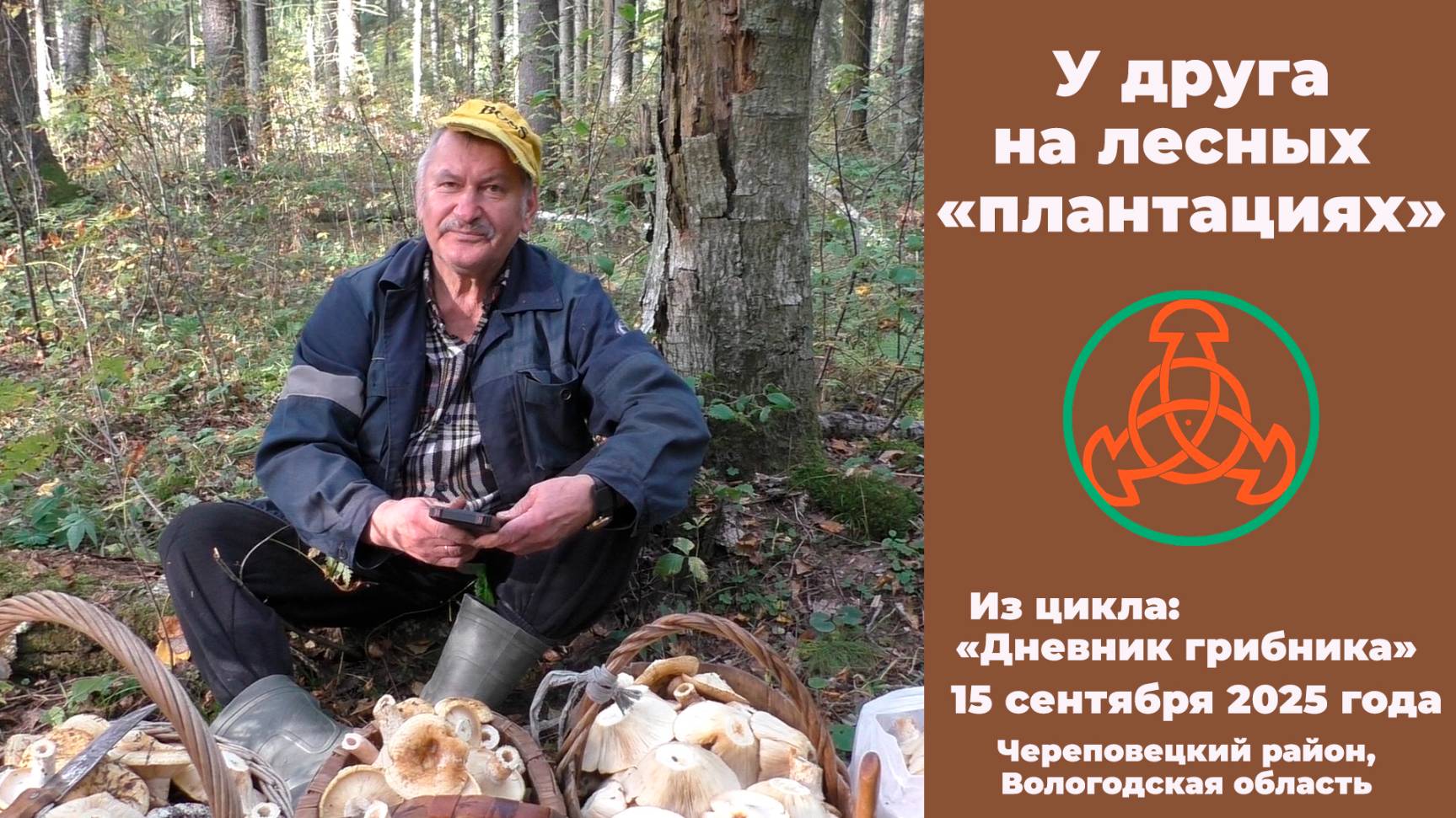 У друга на лесных 